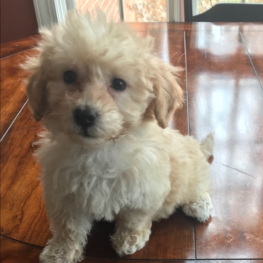 My new baby!!